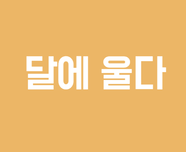 달에 울다